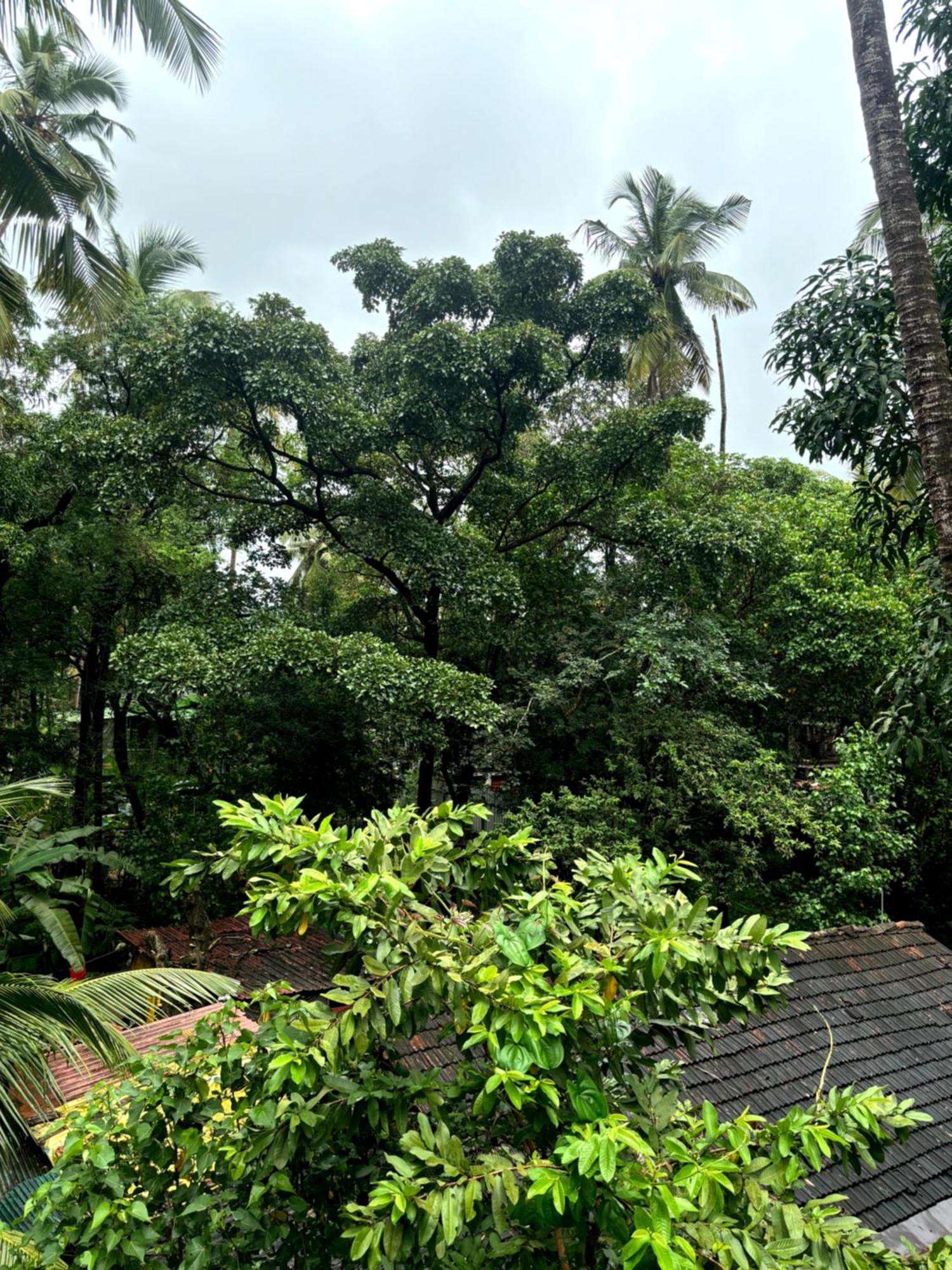Hotel Harmony By Heaven Calangute Kültér fotó